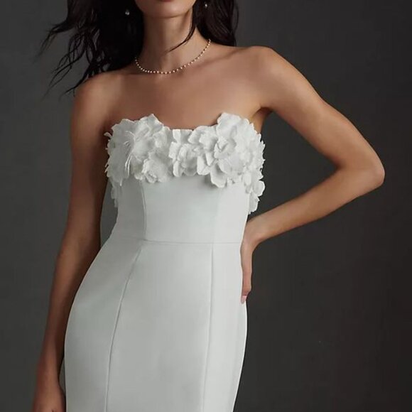 Jenny Yoo Willow Wedding Gown Size 2 and 10 NEW - Picture 11 of 15